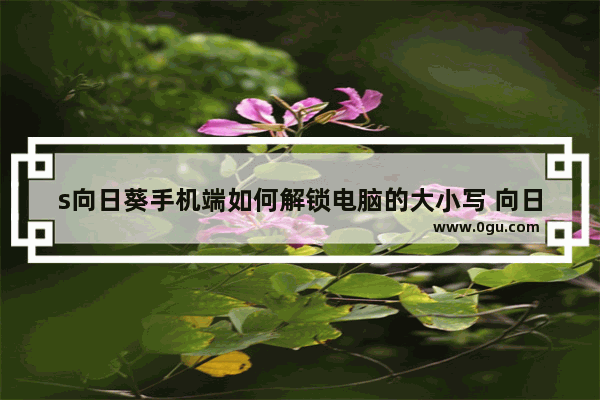 s向日葵手机端如何解锁电脑的大小写 向日葵电脑端