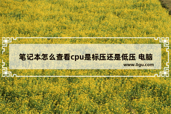 笔记本怎么查看cpu是标压还是低压 电脑cpu哪里看