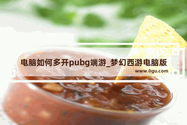 电脑如何多开pubg端游_梦幻西游电脑版如何++
