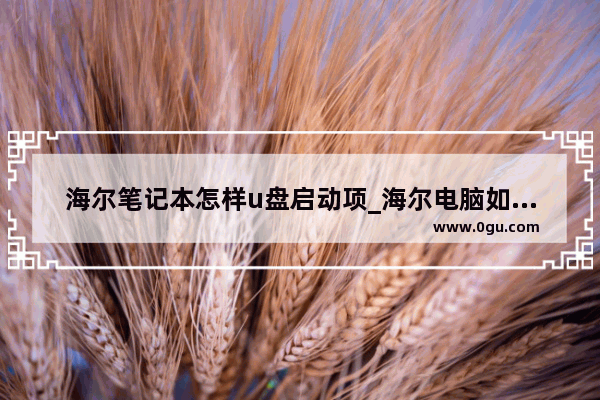 海尔笔记本怎样u盘启动项_海尔电脑如何进入BIOS设置U盘启动