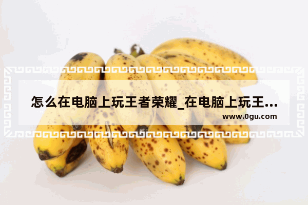 怎么在电脑上玩王者荣耀_在电脑上玩王者荣耀怎么操作