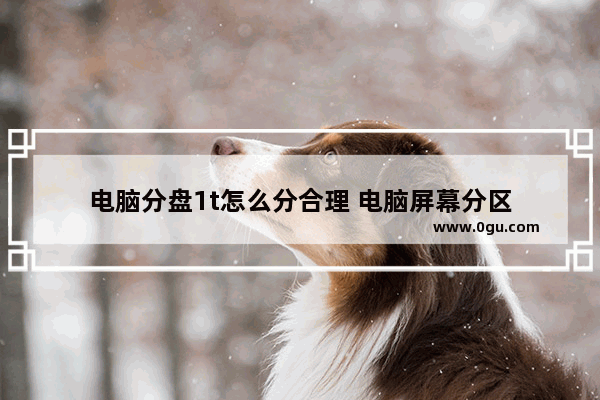 电脑分盘1t怎么分合理 电脑屏幕分区