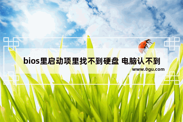 bios里启动项里找不到硬盘 电脑认不到硬盘