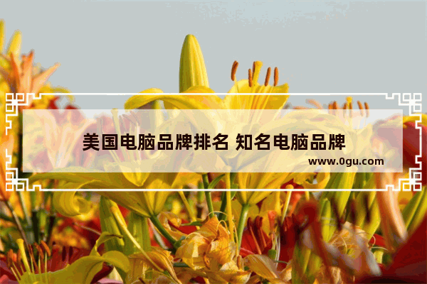 美国电脑品牌排名 知名电脑品牌