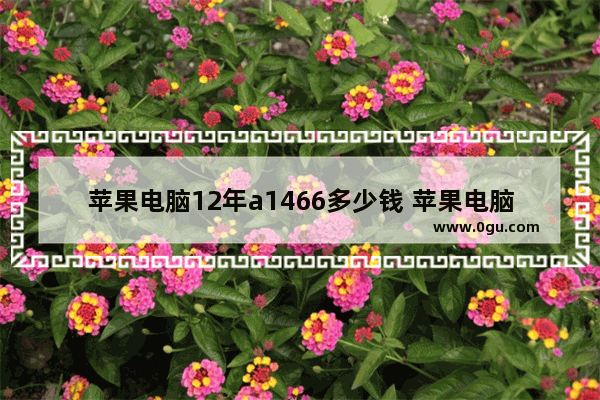 苹果电脑12年a1466多少钱 苹果电脑的价格