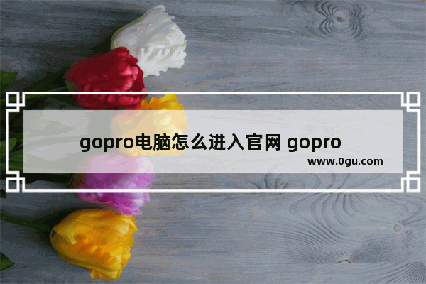 gopro电脑怎么进入官网 gopro 连接电脑