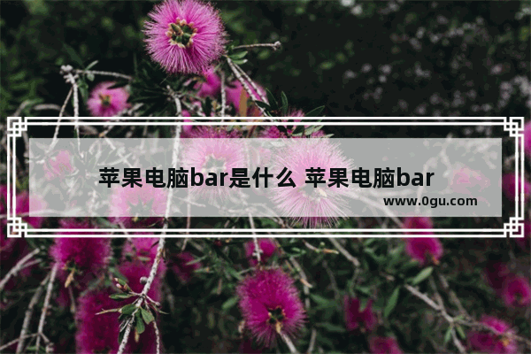 苹果电脑bar是什么 苹果电脑bar