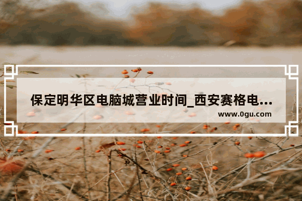 保定明华区电脑城营业时间_西安赛格电脑城几点下班