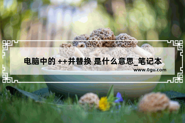 电脑中的 ++并替换 是什么意思_笔记本如何使用触摸板++粘贴