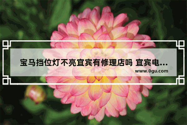 宝马挡位灯不亮宜宾有修理店吗 宜宾电脑维修