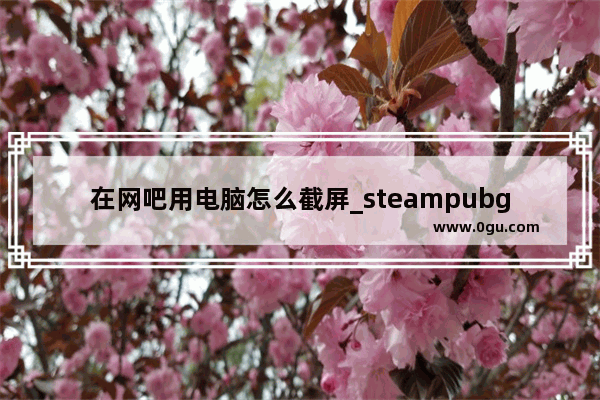 在网吧用电脑怎么截屏_steampubg怎么取消截屏