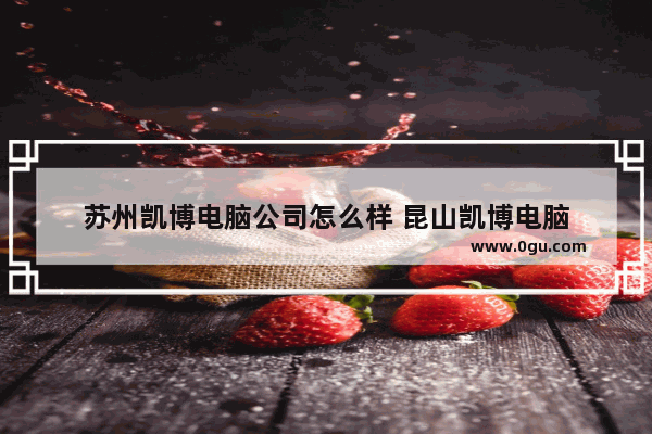 苏州凯博电脑公司怎么样 昆山凯博电脑