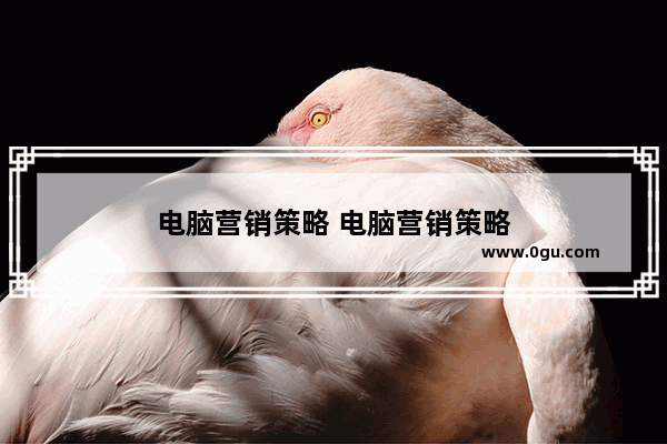 电脑营销策略 电脑营销策略