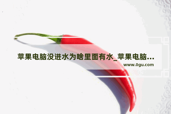 苹果电脑没进水为啥里面有水_苹果电脑屏幕进水