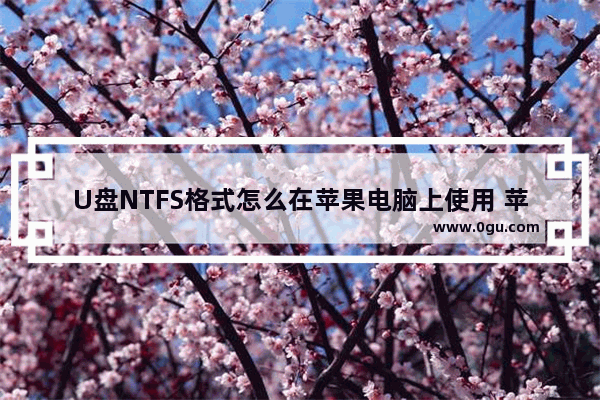 U盘NTFS格式怎么在苹果电脑上使用 苹果电脑ntfs