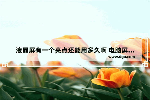 液晶屏有一个亮点还能用多久啊 电脑屏幕使用时间