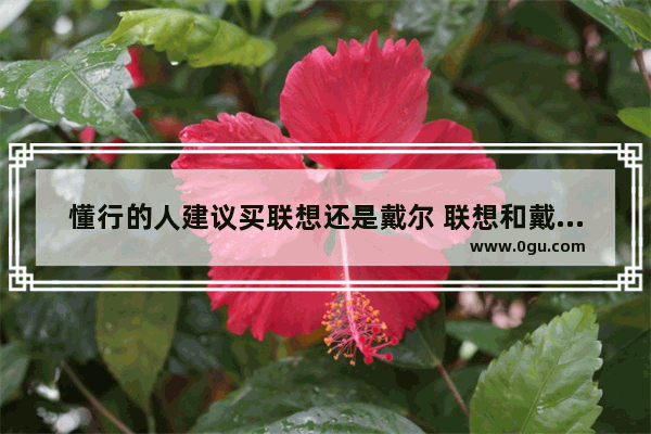 懂行的人建议买联想还是戴尔 联想和戴尔电脑