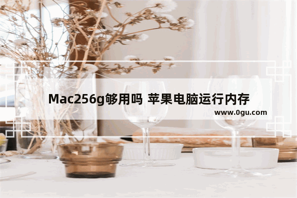Mac256g够用吗 苹果电脑运行内存