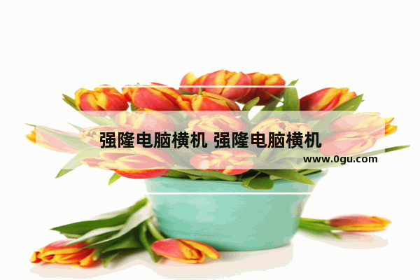 强隆电脑横机 强隆电脑横机