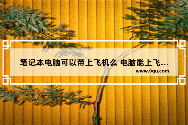 笔记本电脑可以带上飞机么 电脑能上飞机吗