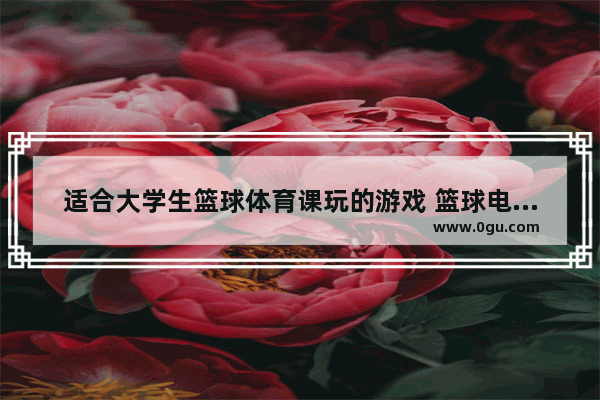 适合大学生篮球体育课玩的游戏 篮球电脑游戏