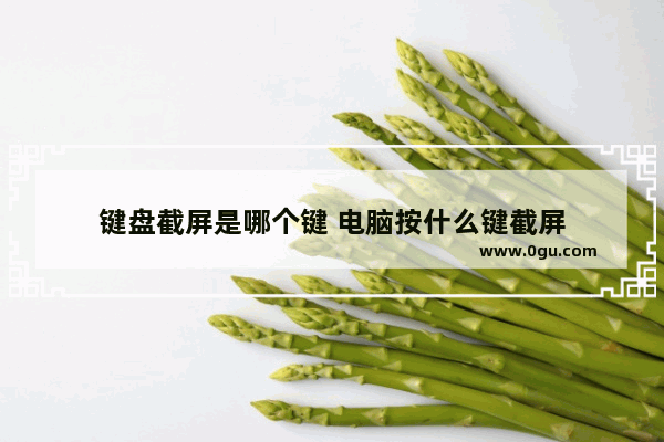 键盘截屏是哪个键 电脑按什么键截屏