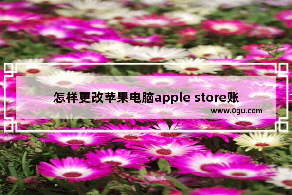 怎样更改苹果电脑apple store账号密码_苹果电脑怎么改Wi-Fi密码