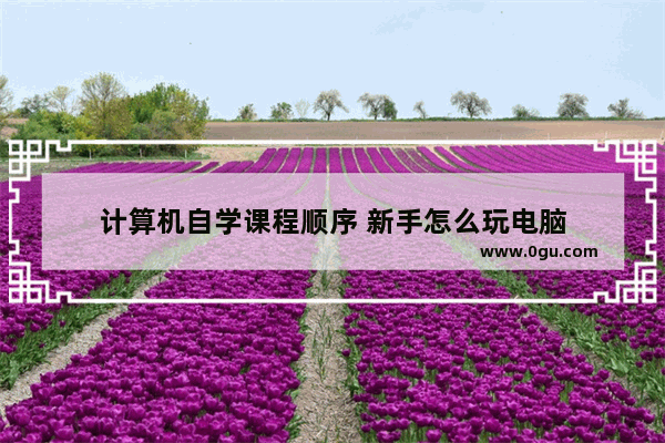 计算机自学课程顺序 新手怎么玩电脑