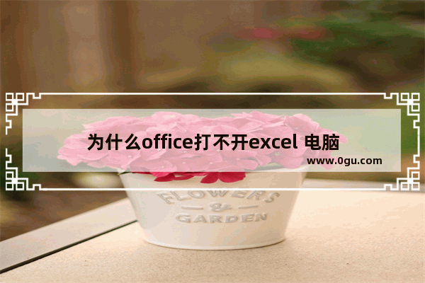 为什么office打不开excel 电脑excel打不开怎么办
