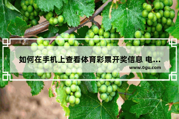 如何在手机上查看体育彩票开奖信息 电脑体育彩票