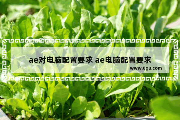 ae对电脑配置要求 ae电脑配置要求