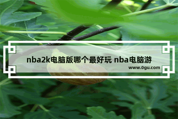 nba2k电脑版哪个最好玩 nba电脑游戏