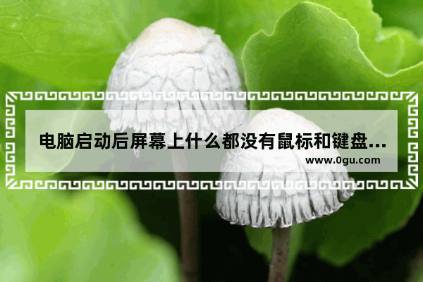 电脑启动后屏幕上什么都没有鼠标和键盘都不亮是什么原因_为什么我的电脑组装好了却不启动