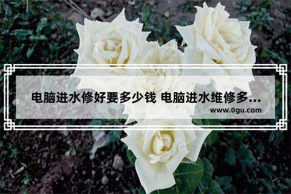 电脑进水修好要多少钱 电脑进水维修多少钱