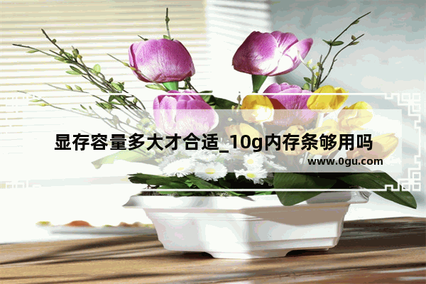 显存容量多大才合适_10g内存条够用吗