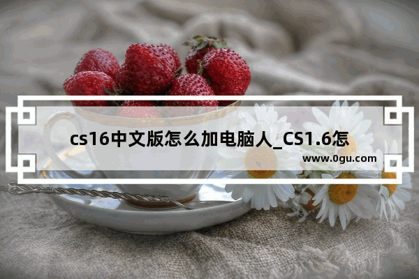cs16中文版怎么加电脑人_CS1.6怎么玩单机 怎么加电脑人