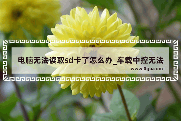电脑无法读取sd卡了怎么办_车载中控无法识别sd卡怎么回事