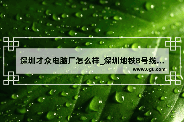 深圳才众电脑厂怎么样_深圳地铁8号线海山站出口B到才众电脑有多远