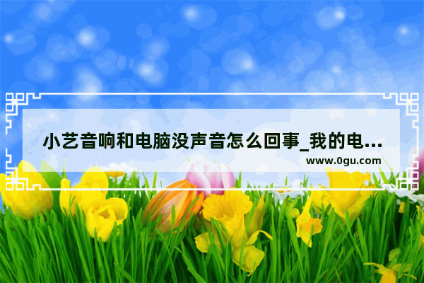 小艺音响和电脑没声音怎么回事_我的电脑看新闻视频有图像没声音怎么办