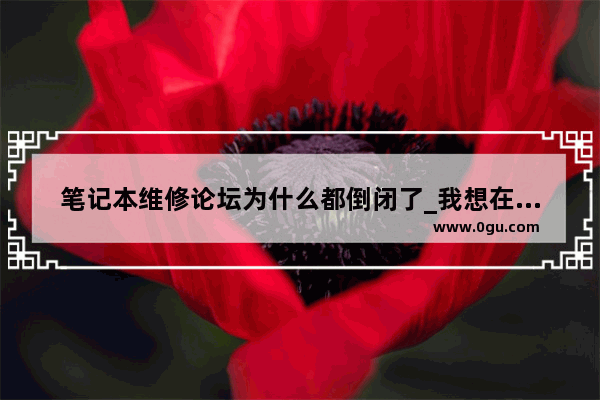 笔记本维修论坛为什么都倒闭了_我想在小区开一家电脑维修店 请问大概需要多少