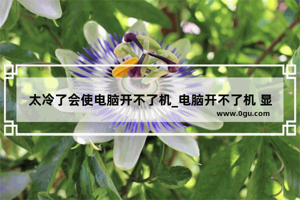 太冷了会使电脑开不了机_电脑开不了机 显示英文字母如何解决