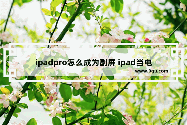 ipadpro怎么成为副屏 ipad当电脑副屏