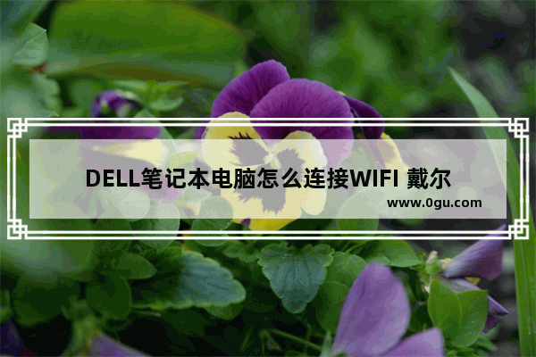 DELL笔记本电脑怎么连接WIFI 戴尔电脑怎么连接wifi