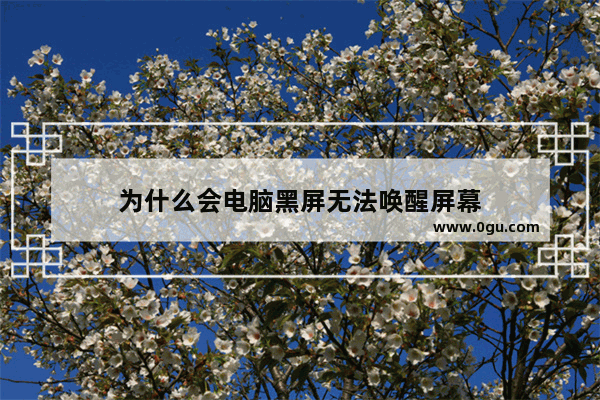 为什么会电脑黑屏无法唤醒屏幕