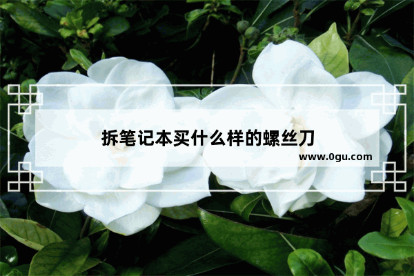 拆笔记本买什么样的螺丝刀