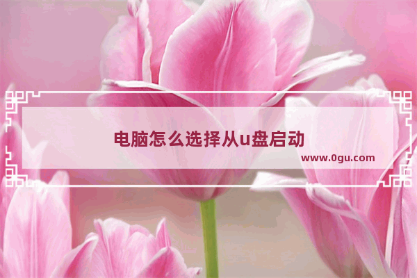 电脑怎么选择从u盘启动