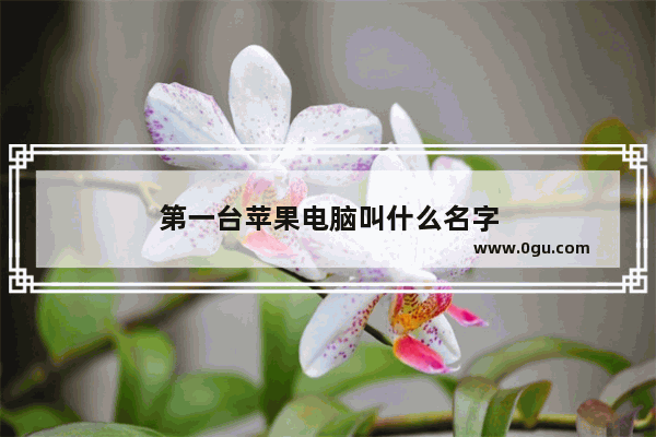 第一台苹果电脑叫什么名字