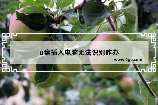 u盘插入电脑无法识别咋办