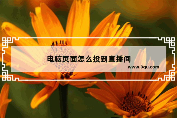 电脑页面怎么投到直播间