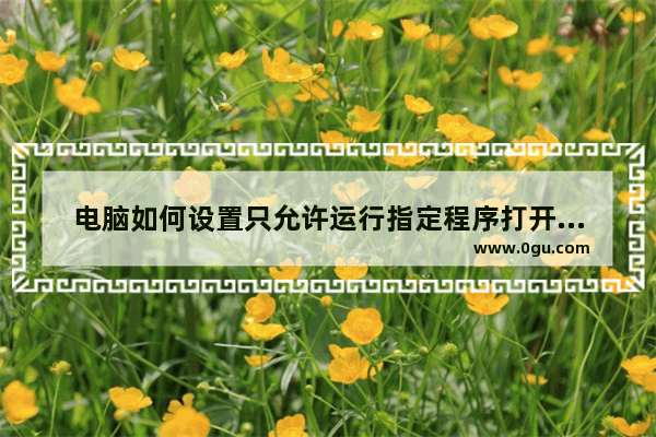 电脑如何设置只允许运行指定程序打开指定软件